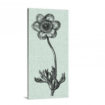 Celadon Beauty I V Wall Art - Canvas - Gallery Wrap