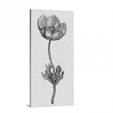 Celadon Beauty I Wall Art - Canvas - Gallery Wrap