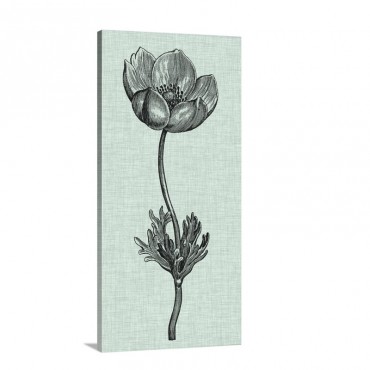 Celadon Beauty I Wall Art - Canvas - Gallery Wrap