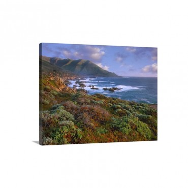 Cliffs And The Pacific Ocean Garrapata State Beach Big Sur California Wall Art - Canvas - Gallery Wrap