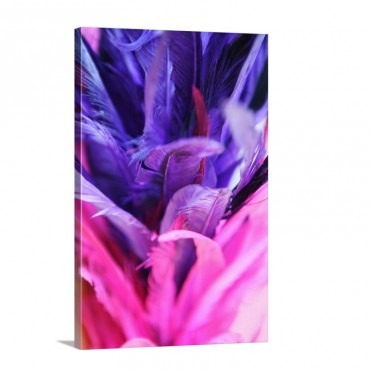 Colorful Bird Feathers Dyed Pink And Mauve Wall Art - Canvas - Gallery Wrap