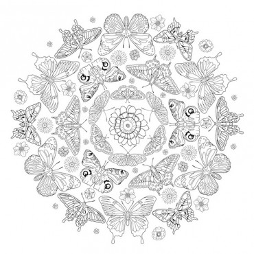 Colour Bloom Mandala
