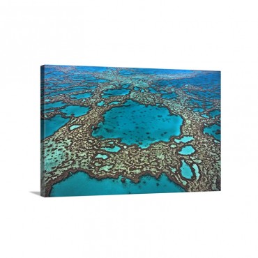 Coral Formations On Hardy Reef Great Barrier Reef Queensland Australia Wall Art - Canvas - Gallery Wrap