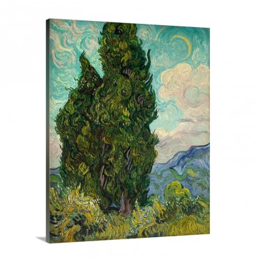 Cypresses Wall Art - Canvas - Gallery Wrap