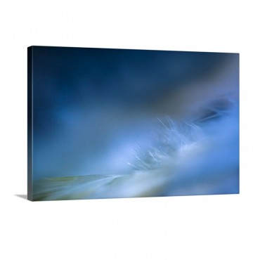 Delicate I Wall Art - Canvas - Gallery Wrap