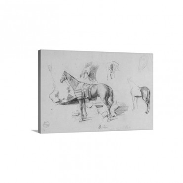 Delio The Horse Of General Prim 1860 War Of Hispano Moroccan War Wall Art - Canvas - Gallery Wrap
