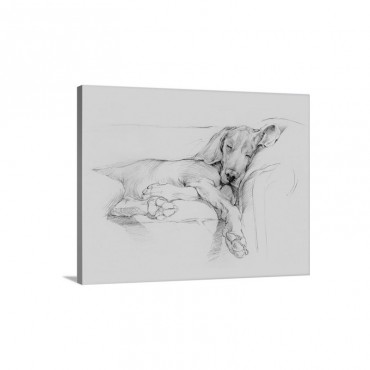 Dog Days I Wall Art - Canvas - Gallery Wrap