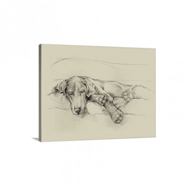 Dog Days I I Wall Art - Canvas - Gallery Wrap