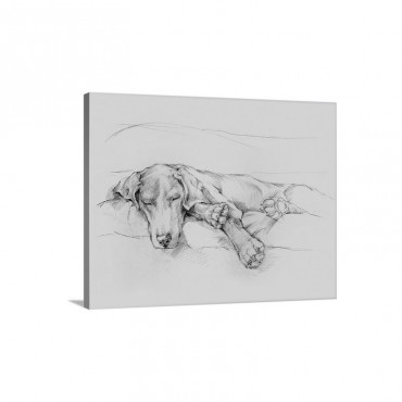 Dog Days I I Wall Art - Canvas - Gallery Wrap