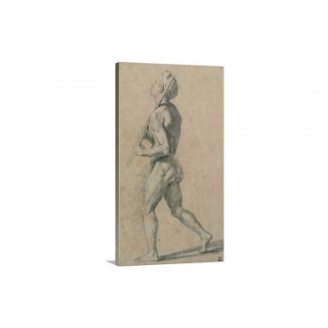 Drawing Male Nude Walking By Raphael C15001520 Uffizi Gallery Florence Italy Wall Art - Canvas - Gallery Wrap