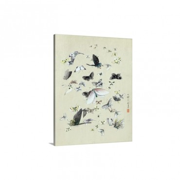 Drawing Of Butterflies And Moths Attributed To Settso Wall Art - Canvas - Gallery Wrap