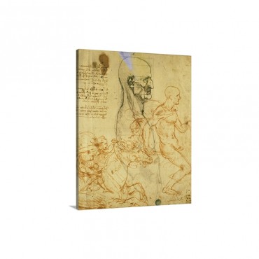 Drawing For Battle Of Anghiari By Leonardo Da Vinci C 1490 1504 Wall Art - Canvas - Gallery Wrap