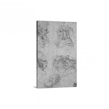 Drawing Of Seven Caricature Faces By School Of Leonardo 16Th C Wall Art - Canvas - Gallery Wrap