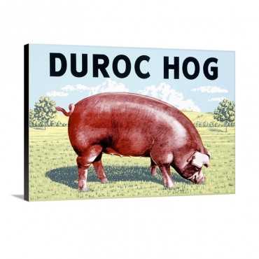 Duroc Hog Vintage Poster Wall Art - Canvas - Gallery Wrap