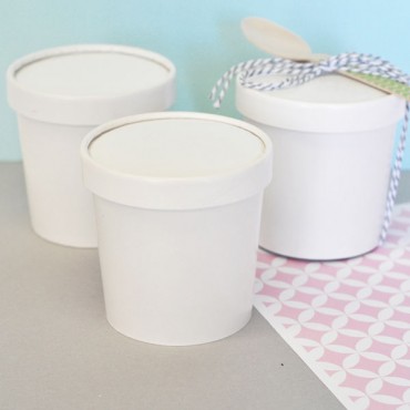 DIY Blank Mini Ice Cream Containers