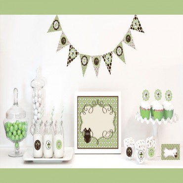 Green Baby Shower Decorations Starter Kit