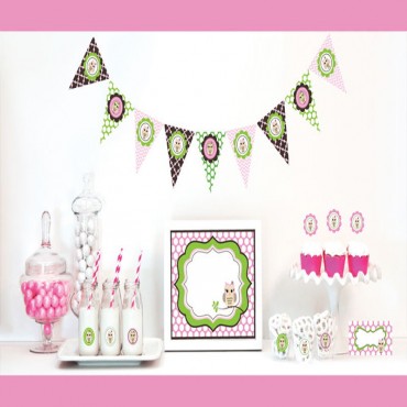 Pink Owl Decorations Starter Kit