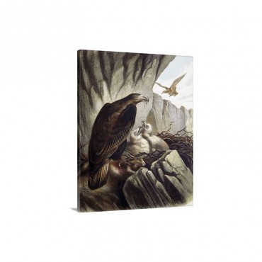 Eagles With Their Young Engraving After A Drawing Wall Art - Canvas - Gallery Wrap