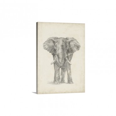 Elephant Sketch I I Wall Art - Canvas - Gallery Wrap