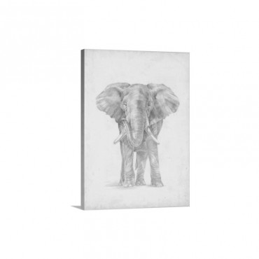 Elephant Sketch I I Wall Art - Canvas - Gallery Wrap
