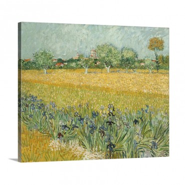 Field With Irises Near Arles By Vincent Van Gogh Wall Art - Canvas - Gallery Wrap