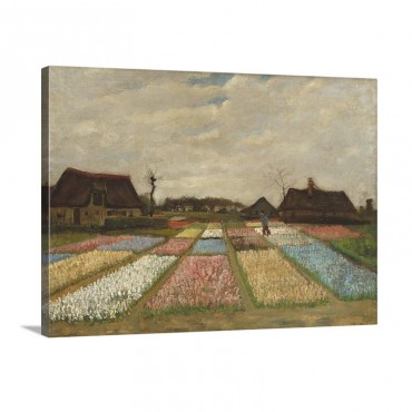 Flower Beds In Holland C 1883 Wall Art - Canvas - Gallery Wrap