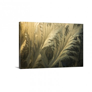 Frost Crystal Patterns On Glass Ross Sea Antarctica Wall Art - Canvas - Gallery Wrap