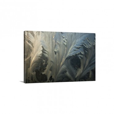 Frost Crystal Patterns On Glass Ross Sea Antarctica Wall Art - Canvas - Galklery Wrap