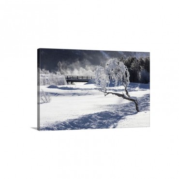 Frost On Tree Branches Frames The Snowy Landscape Wall Art - Canvas - Gallery Wrap