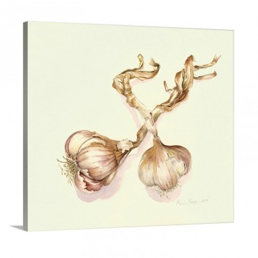 Garlic Bulbs 2005 Wall Art - Canvas - Gallery Wrap