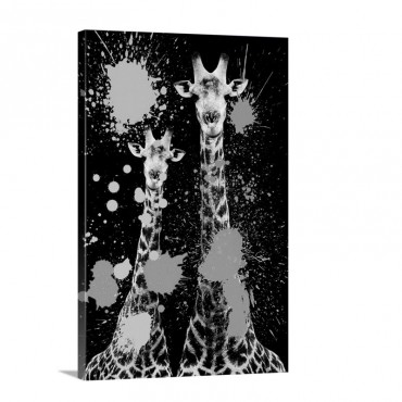 Giraffes I I Wall Art - Canvas - Gallery Wrap