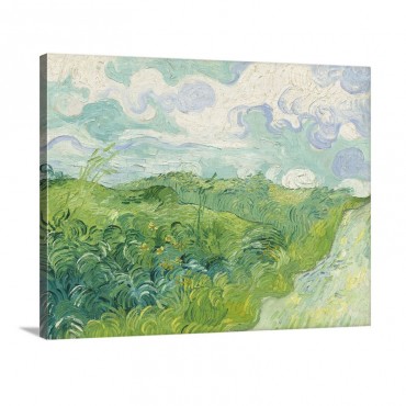 Green Wheat Fields Auvers 1890 Wall Art - Canvas - Gallery Wrap