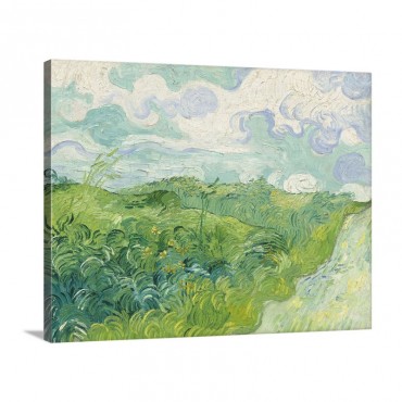 Green Wheat Fields Auvers By Vincent Van Gogh 1890 Wall Art - Canvas - Gallery Wrap