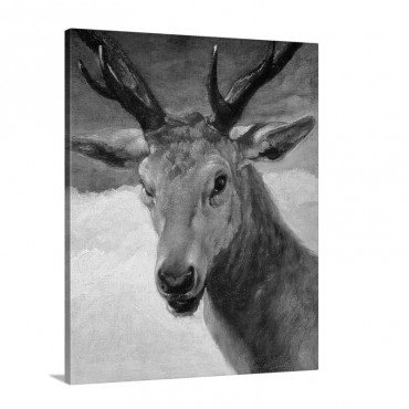 Head Of A Stag 1634 Wall Art - Canvas - Gallery Wrap