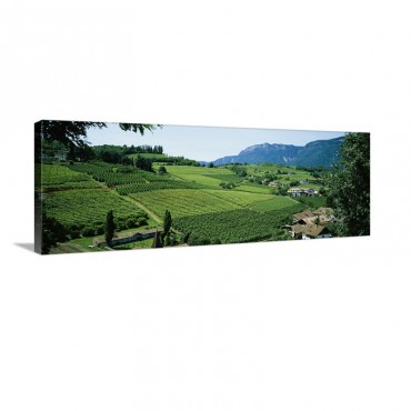 High Angle View Of Fields Bolzano Italy Wall Art - Canvas - Gallery Wrap