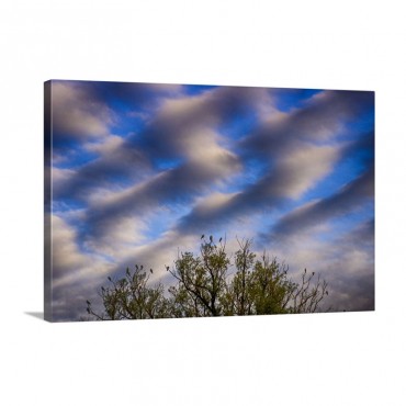 Home to Roost Wall Art - Canvas - Gallery Wrap