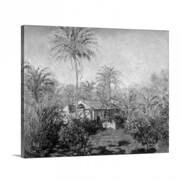 House Among The Palms Wall Art - Canvas - Gallery Wrap