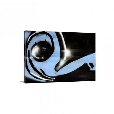 Incognito Wall Art - Canvas - Gallery Wrap