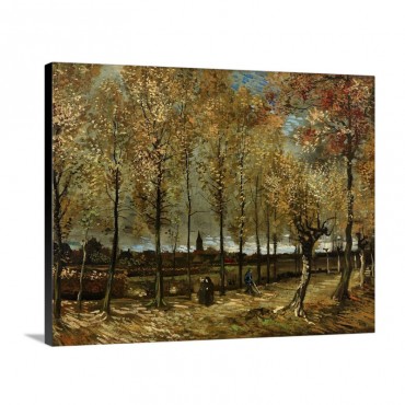 Lane With Poplars Near Nenen 1885 Wall Art - Canvas - Gallery Wrap