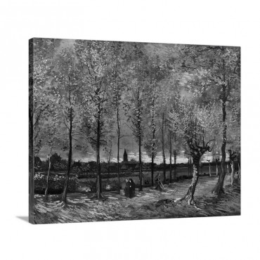 Lane With Poplars Near Nenen 1885 Wall Art - Canvas - Gallery Wrap