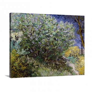 Lilac Bush Wall Art - Canvas - Gallery Wrap