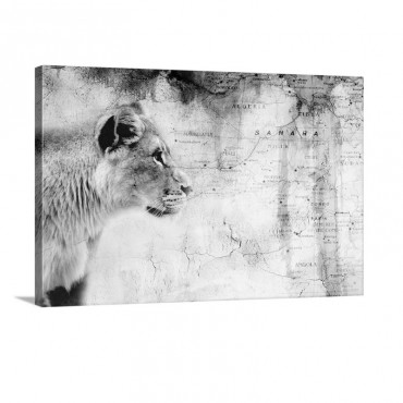 Lion In Front Of An Old Map Of Africa Wall Art - Canvas - Gallery Wrap
