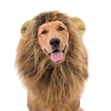 Lions Mane Wig For Dogs