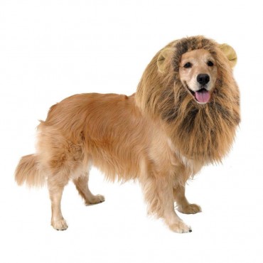 Lions Mane Wig For Dogs
