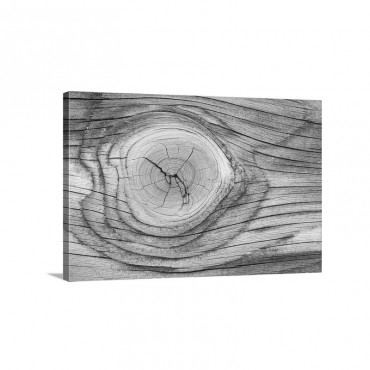 Lodgepole Pine Wood Patterns Yellowstone National Park Wyoming Wall Art - Canvas - Gallery Wrap
