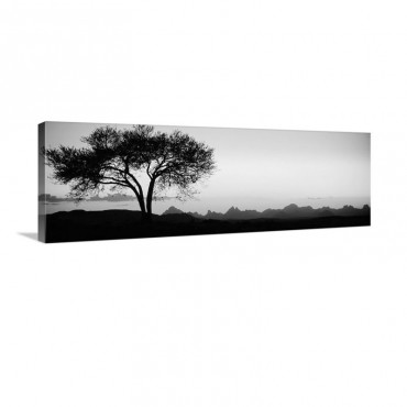 Lone Tree Debre Damo Ethiopia Africa Wall Art - Canvas - Gallery Wrap