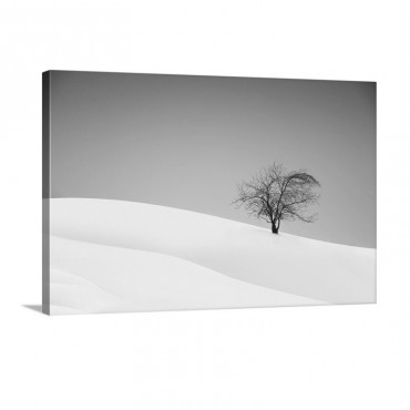 Loneliness Wall Art - Canvas - Gallery Wrap
