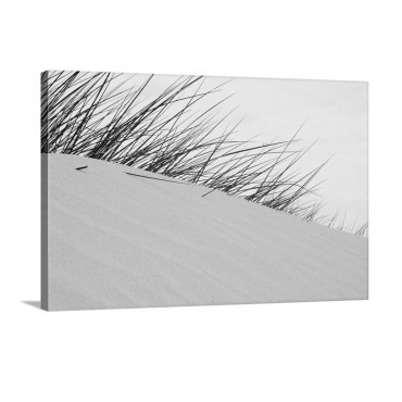 Long Grass On Sand Dunes Wall Art - Canvas - Gallery Wrap