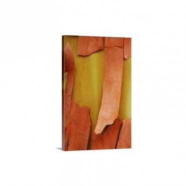 Madrone Mosaic I Wall Art - Canvas - Gallery Wrap