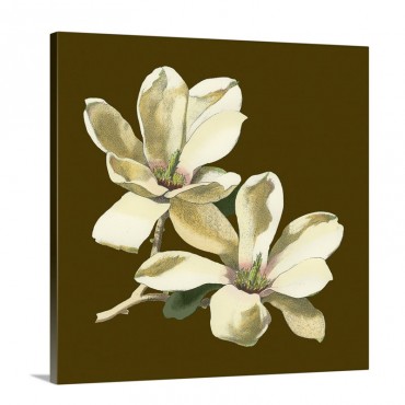 Magnolia On Taupe I I Wall Art  - Canvas - Gallery Wrap